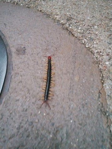 [IMG_20131010_173423%255B3%255D.jpg]