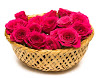 http://www.orkut.com.br/Main#Community?cmm=102900546