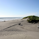 IMG_8286.JPG