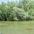 IMG_7708.JPG
