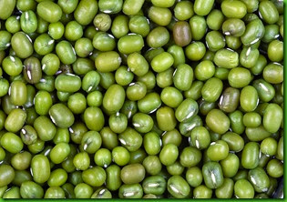 Vigna radiata Vigna radiata