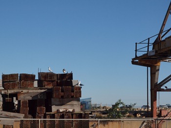 at the docks
