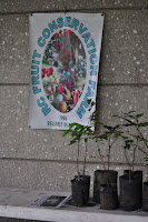 DSC_5949.JPG