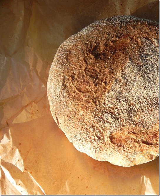 peasant-boule-1 peasant-boule-1