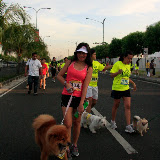 Pet Express Doggie Run 2012 Philippines. Jpg (112).JPG