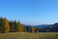 P1090638.JPG