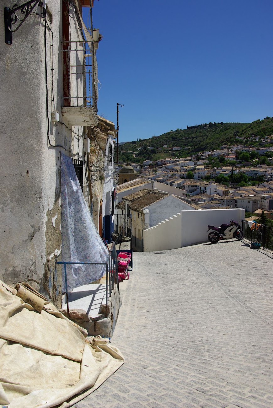 IMGP3007.JPG