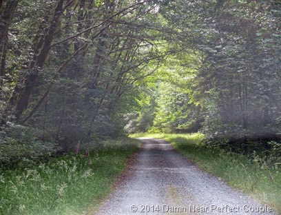 Laird Lake Road