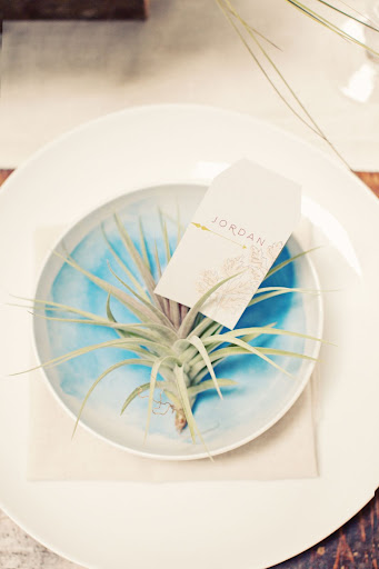 Seating cards sported floral illustrations and rested in air plants set inside a watercolors-inspired bowl. Seating cards sported floral illustrations and rested in air plants set inside a watercolors-inspired bowl.