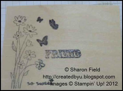 stamp with craft ink, emboss with clear ep