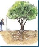 fineliving tree fertilzier fineliving tree fertilzier