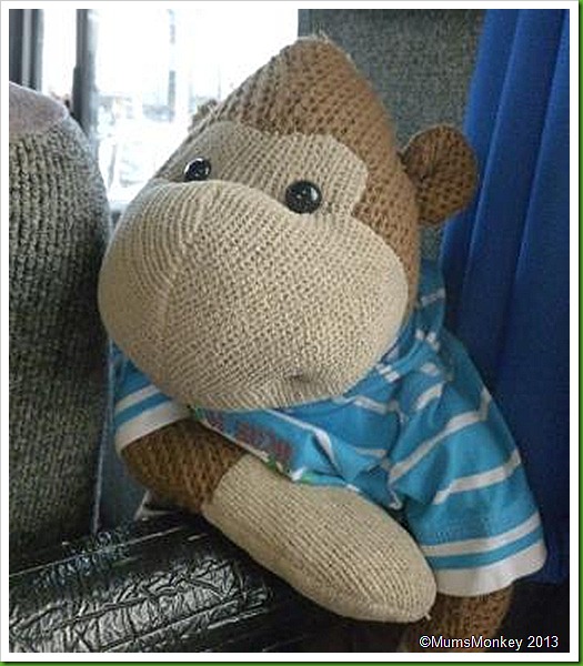 Mr Colli's Monkey. Mr Colli's Monkey.