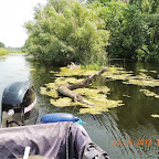 DSCN8319.JPG