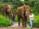 South Africa - 067.JPG