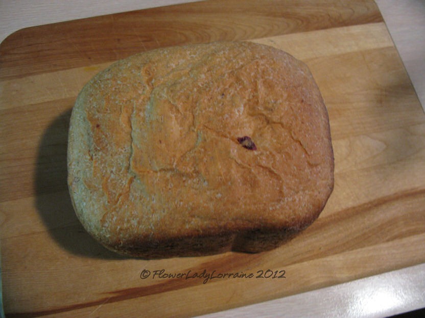 [11-04-oatmeal-bread%255B4%255D.jpg]