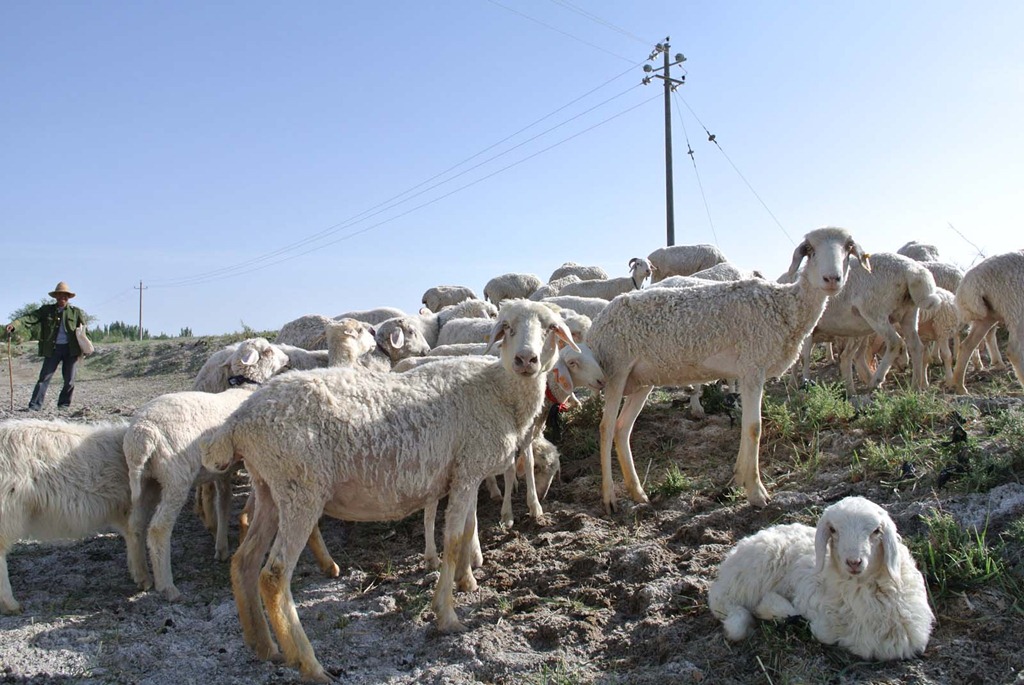 [DSC_3781%255B4%255D.jpg]