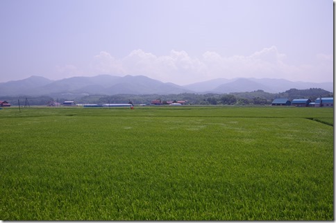 IMGP6436 IMGP6436