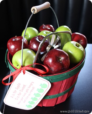 apple basket snack gift obseussed F
