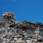 DSC_8774.JPG