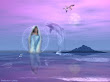 Sea Witch Dolphin