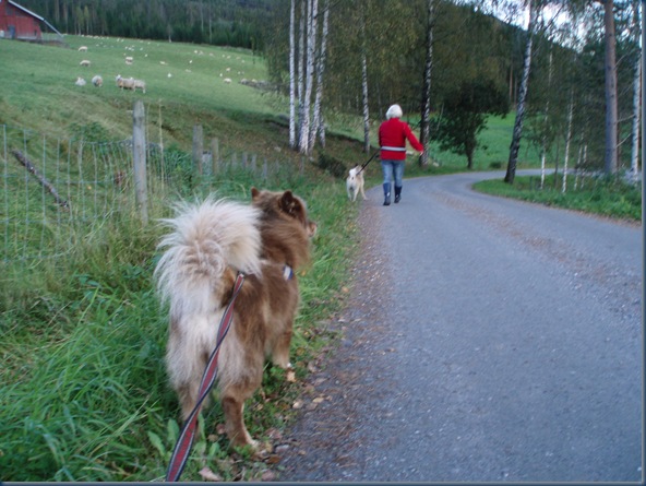 Septembertur 006