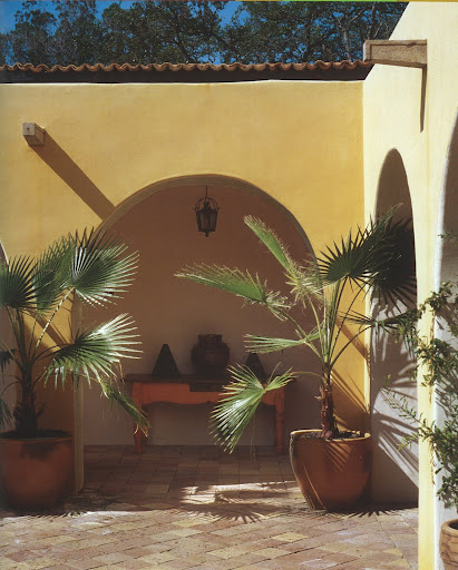 These plants reminded me of the gargantuan Philodendron I placed in my living room. These plants reminded me of the gargantuan Philodendron I placed in my living room.