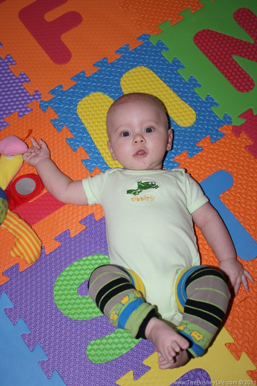 [IMG_0007%255B9%255D.jpg]