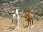 Sprachaufenthalt Tarifa