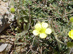 p1269762887(19).jpg