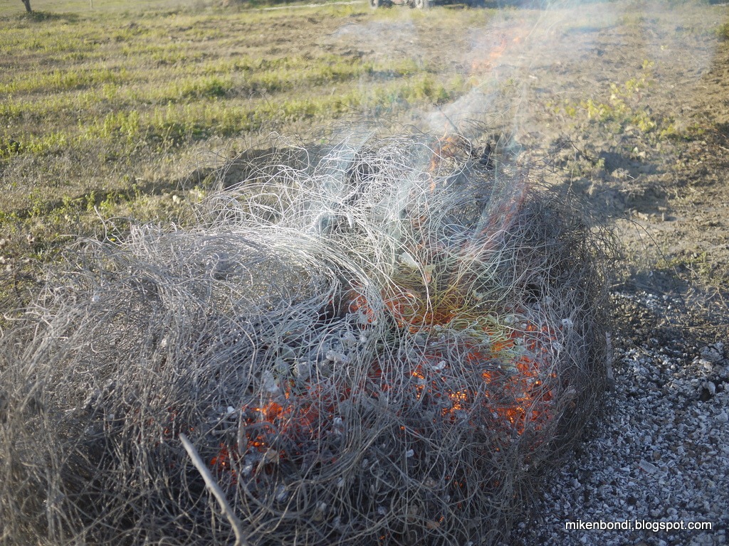 [vine%2520wires%255B4%255D.jpg]
