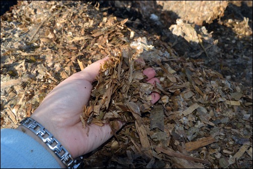 silage close-up