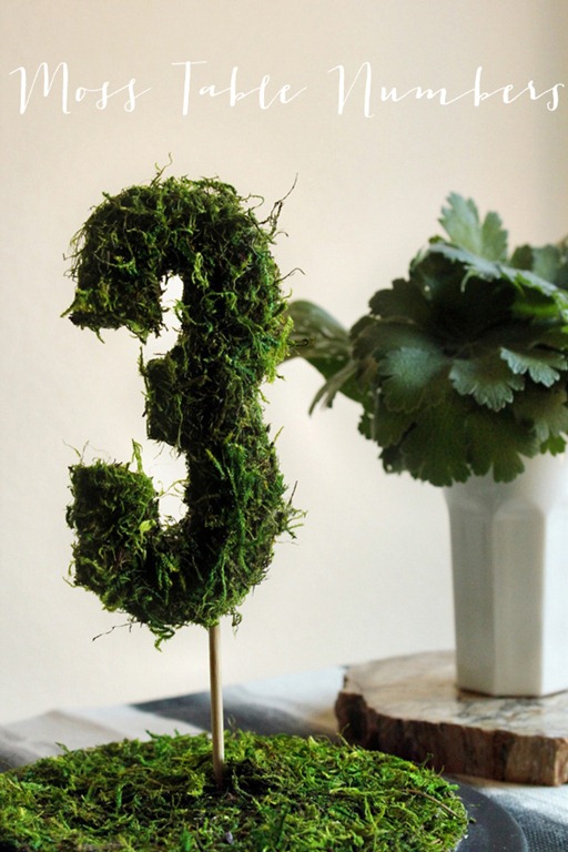 [Ruffled-Blog-diy-moss-table-number-d.jpg]