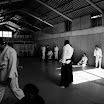 _DSC1375.JPG