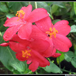 IMG_8652.JPG