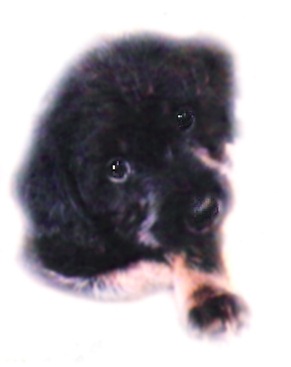 [HUILA%2520BEBE%255B9%255D.jpg]