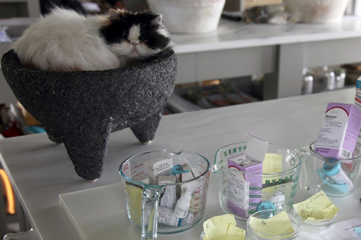 Between Sharkey's dew claw, Francesca's eye, and both Francesca and G.K. having Lyme disease, we have more pills on the counter than a pharmacy!