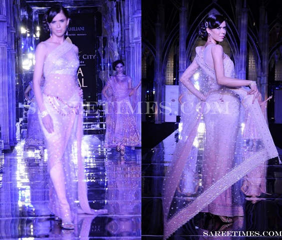 [Tarun_Tahiliani_Designer_Shimmer_Saree%255B3%255D.jpg]