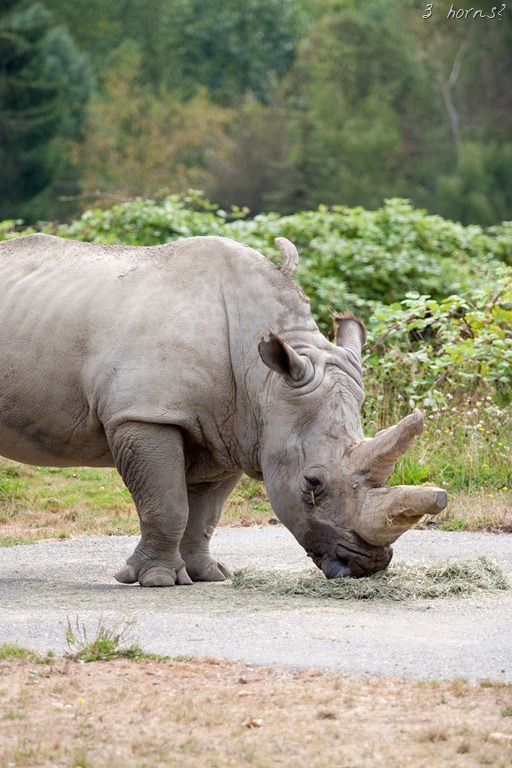 [20120903-IMG_9444%255B9%255D.jpg]