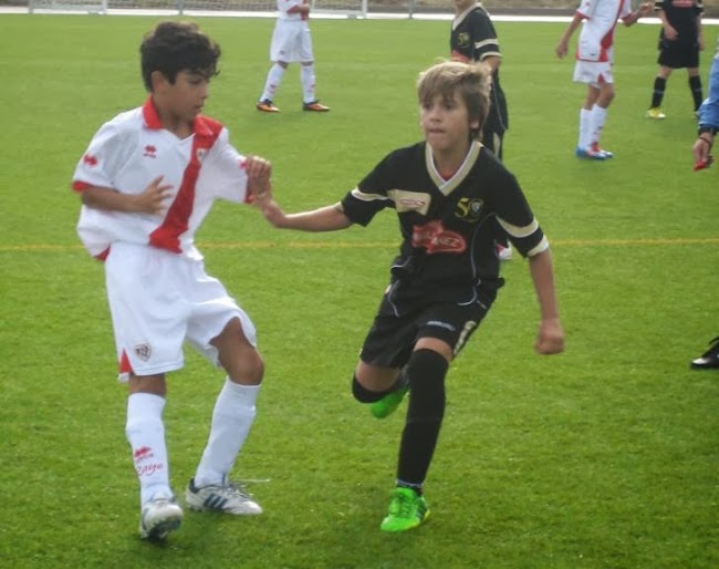 Rayo-alevín A 2.JPG