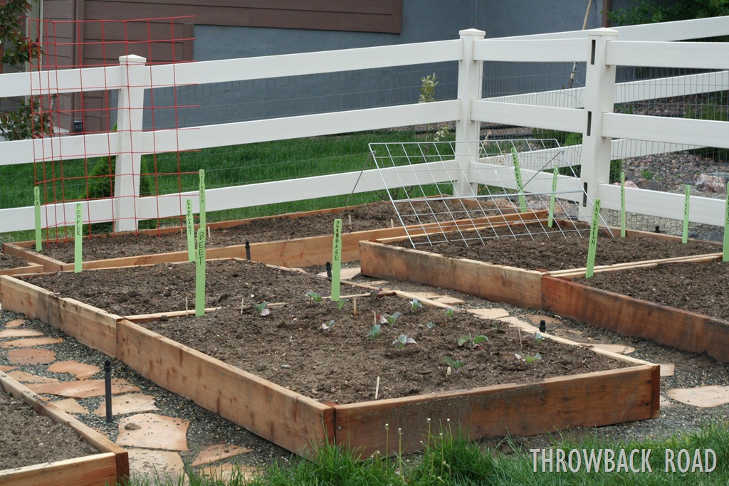 [garden%2520marker%2520015%255B3%255D.jpg]