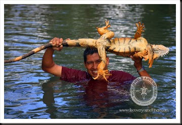 (c)Worldwildadventures-0019 (c)Worldwildadventures-0019