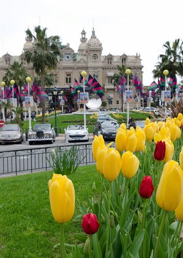 [Monte%2520Carlo-19.jpg]