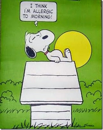 allergic mornings allergic mornings