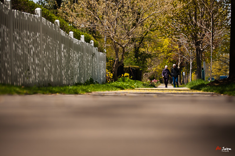 Niagara-on-the-Lake-8.jpg