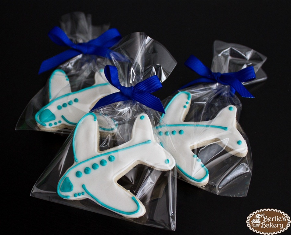 [Air%2520Plane%2520Shortbread-3%255B4%255D.jpg]