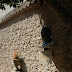 Casa Museu Prat de la Riba