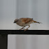 P1030560