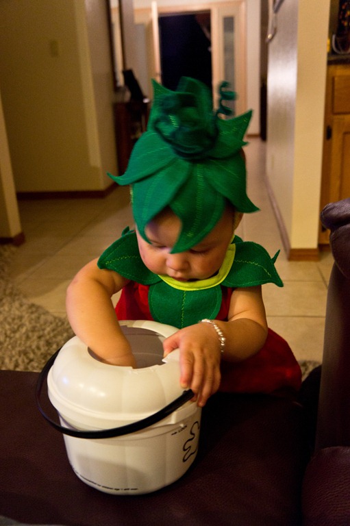 [DSC05059%255B3%255D.jpg]