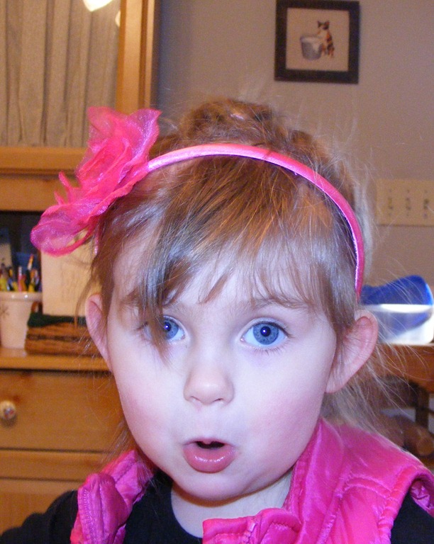 [DSCF3830%255B12%255D.jpg]