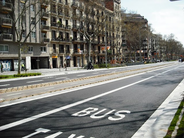 carrilbus.jpg